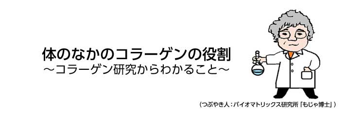 体のなかのコラーゲンの役割 コラーゲン研究からわかること