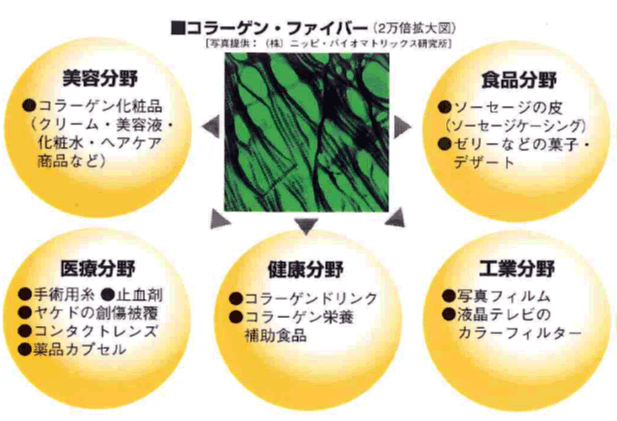 コラーゲン・ファイバー