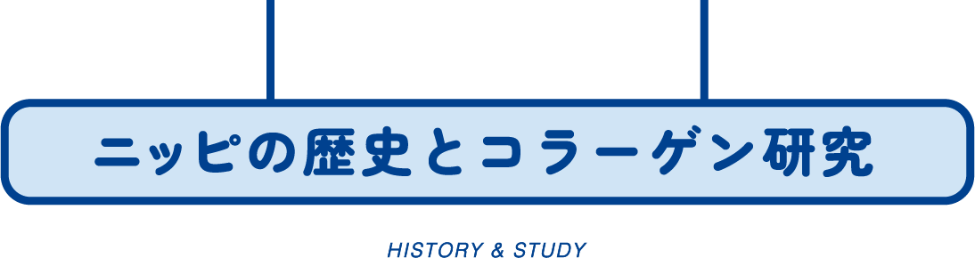 ニッピの歴史とコラーゲン研究